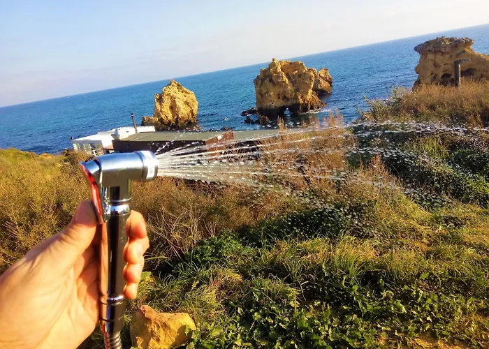 Ocean Camper - Campervan & Surf * Φάρο